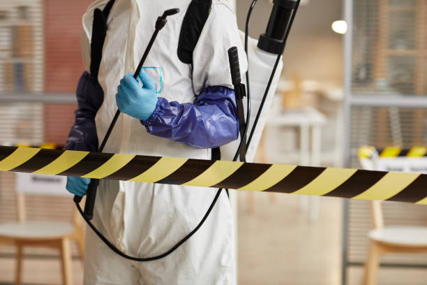 Professional Sewage Cleanup technician working in Geyserville, CA